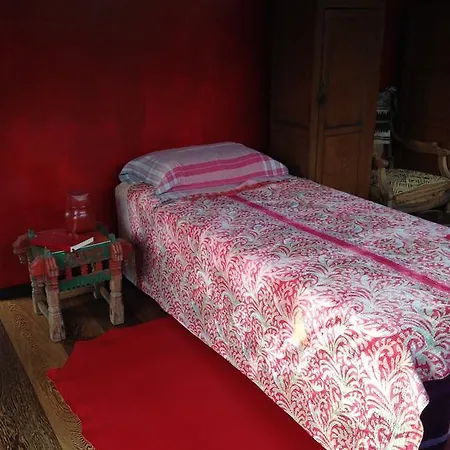 Bed & Breakfast De Witte *